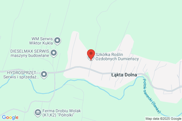 Dolna Lucyna. Szkólki bylin i roslin ozdobnych