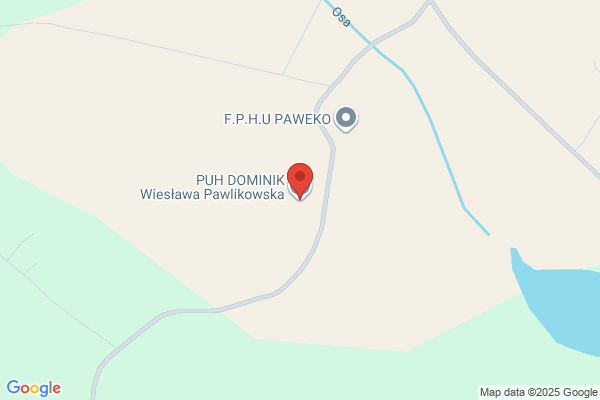 Dominik. PUH. Pawlikowska W.