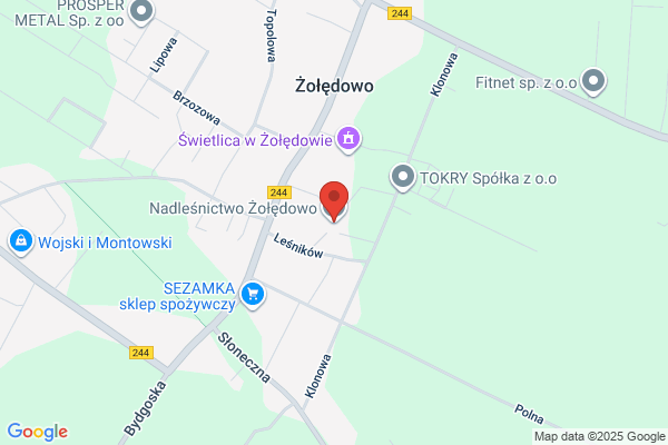 Nadlesnictwo Zoledowo