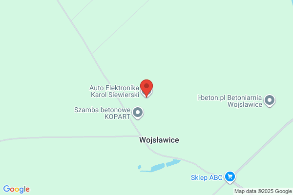 Wcislo Ryszard. Elektryka samochodowa