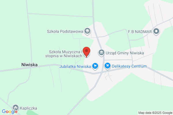 Niepanstwowa Szkola Muzyczna I stopnia