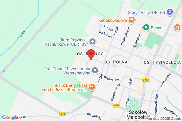 Piela Ryszard. Szkola jazdy