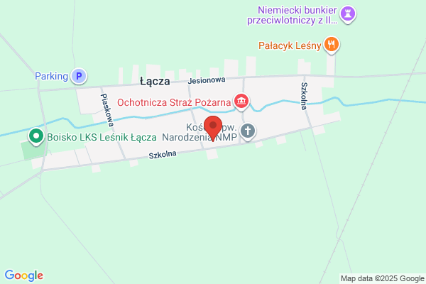 Forczek Czeslaw. Uslugi lesne