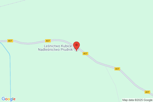 Lesnictwo Kubice. Nadlesnictwo Prudnik