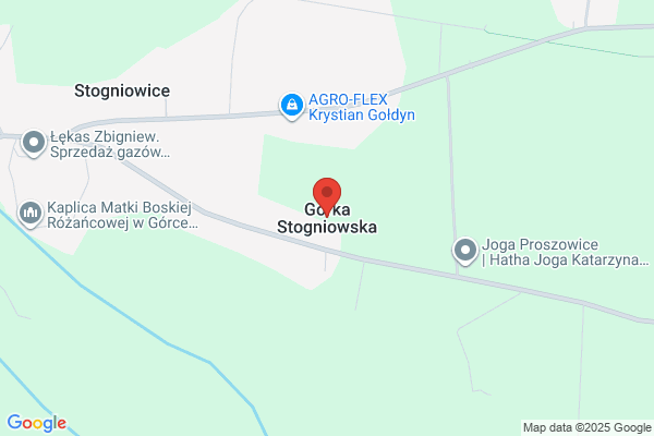 Nowak Adam. Uslugi transportowe