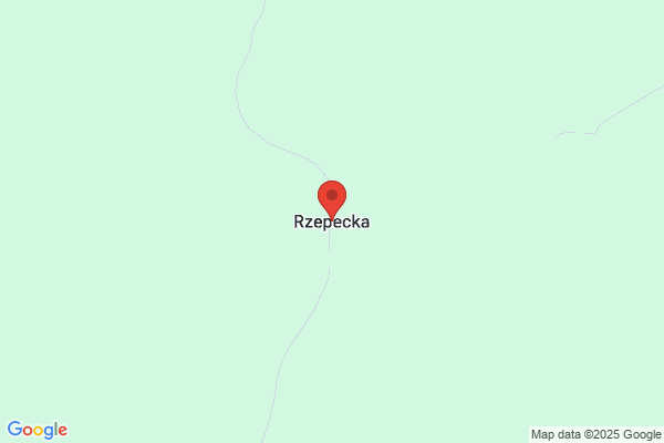Repeti. PHU. Rzepecki K.