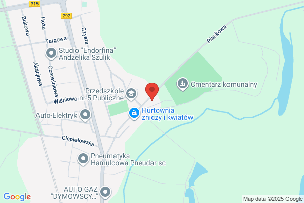 Luiza. Uslugi krawieckie. Korczynska J.