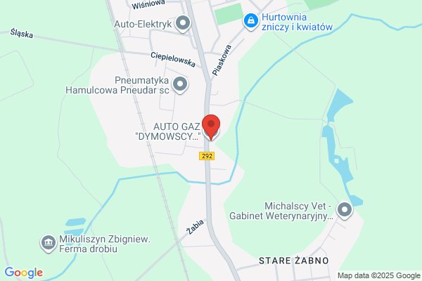 Dymowscy. Przedsiebiorstwo handlowo - uslugowe