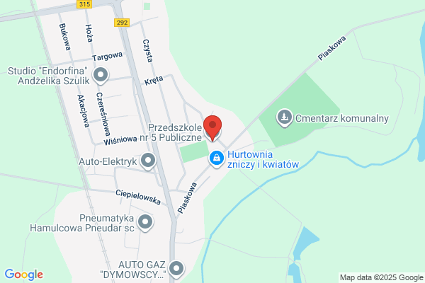 Przedszkole nr 5 Publiczne
