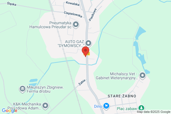 Kozlowski Henryk. Sklep motoryzacyjny