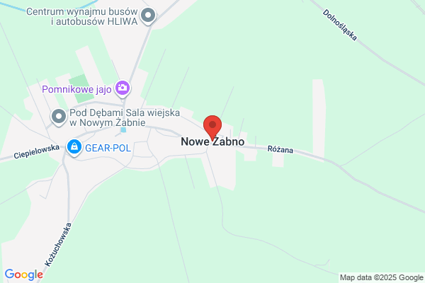 Hliwa Eugeniusz. Przewozy turystyczne, uslugi transportowe