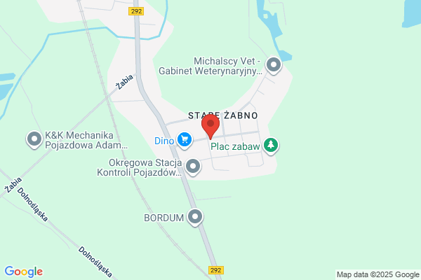 TKiM. Transport krajowy i miedzynarodowy. Sobanski G.
