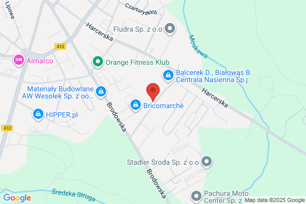 Anakonda. Studio grafiki