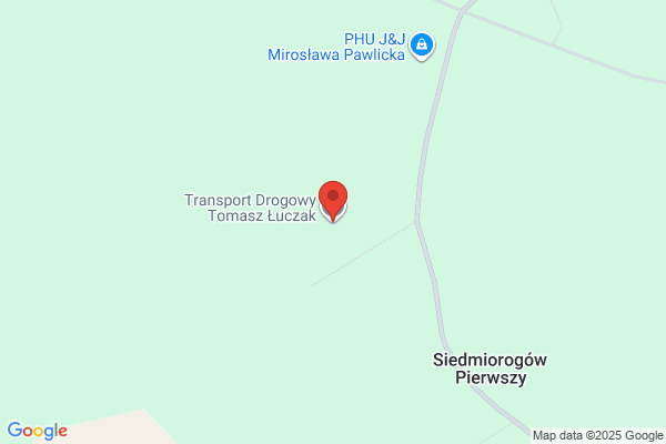 Luczak Tomasz. Transport drogowy i spedycja