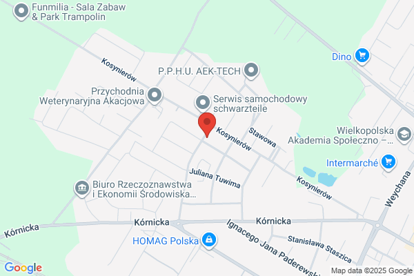 Oleszak Roman. Ukladanie, renowacja parkietów i boazerii