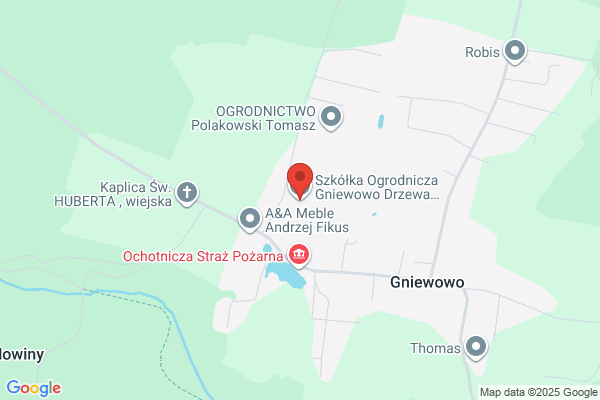 Gospodarstwo szkólkarskie. Drzewa i krzewy ozdobne, byliny