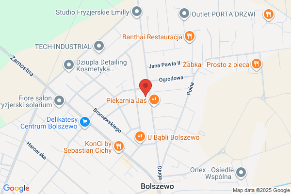 TDIService. Dzienisz W.