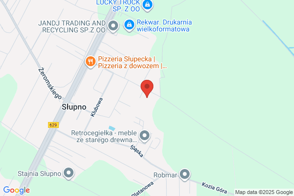 Nis Jerzy. Uslugi transportowo - dzwigowe