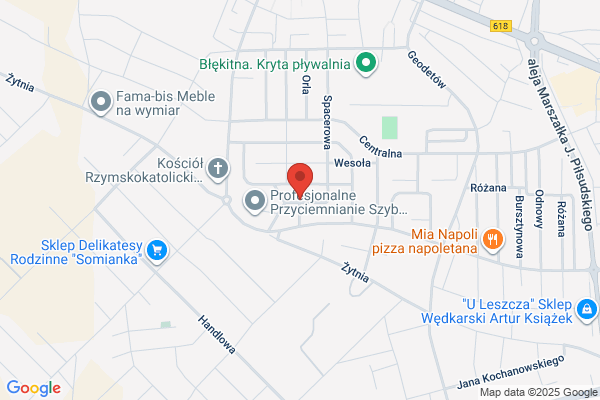 Zaremba Jan. Uslugi transportowe