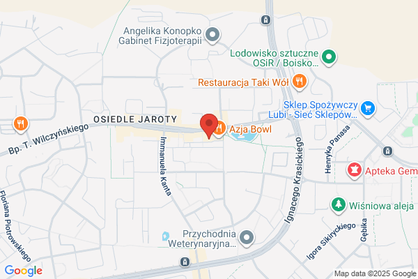 ACD System. Firma komputerowa. Rejniak E.