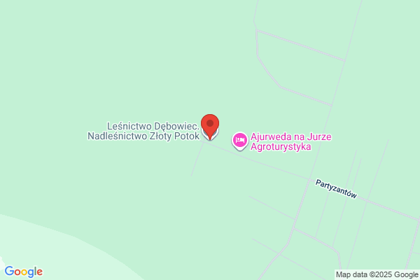Lesnictwo Debowiec. Nadlesnictwo Zloty Potok