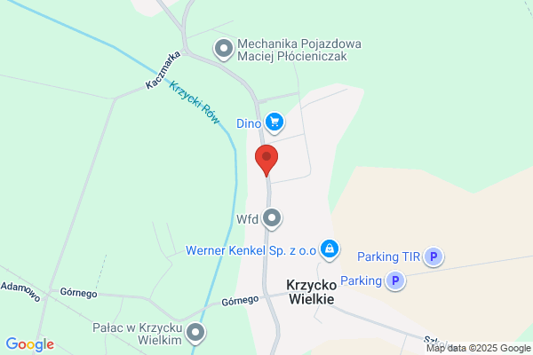 Ruszkowski Stanislaw. Rzeznictwo, wedliniarstwo