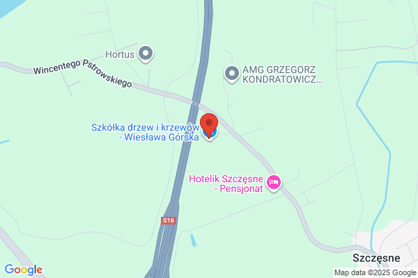 Górska Wieslawa. Drzewa ozdobne, ogrody