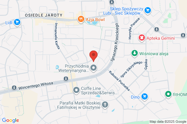 Osrodek Wsparcia dla Dzieci i Mlodziezy