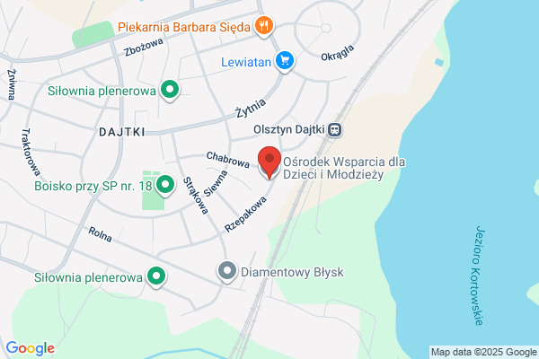 Osrodek Wsparcia dla Dzieci i Mlodziezy