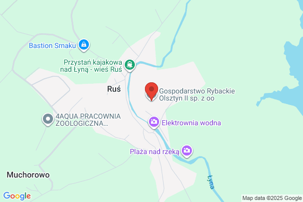 Gospodarstwo rybackie. Sp. z o.o. Przetwórnia ryb