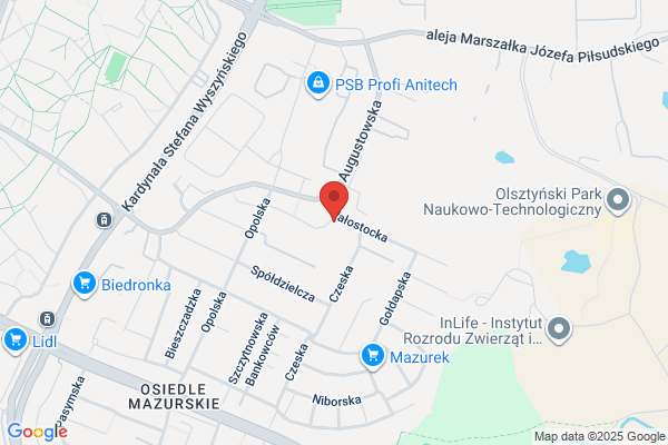 Auto-Serwis. Naprawa samochodów importowanych. Skinder M.