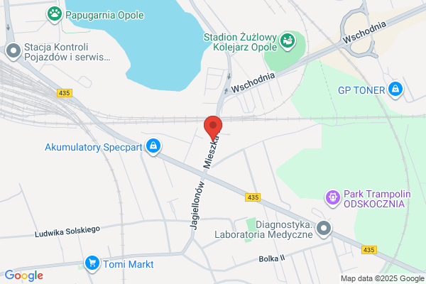 Elektronik Serwis. Naprawa
