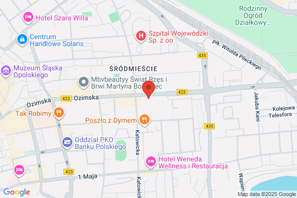 Holub-Komenda Krystyna. Szkola plywania