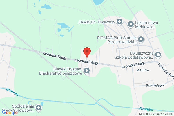 Nolepa Eugeniusz, Edyta. Projektowanie i realizacja inwestycji SC