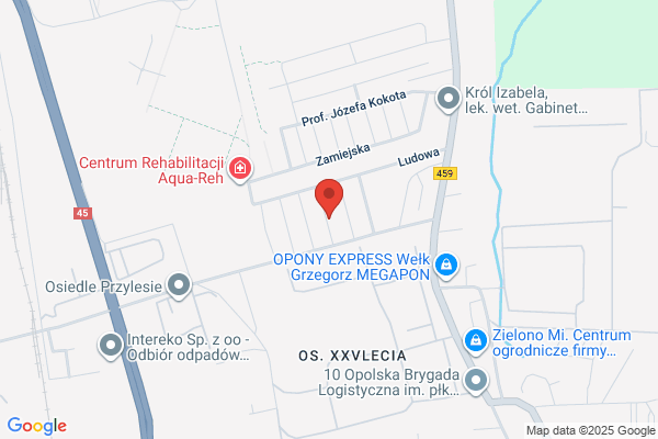 Skorpion. Zaklad uslug elektronicznych
