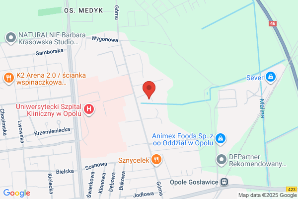 Opolterm. Pozniak L.
