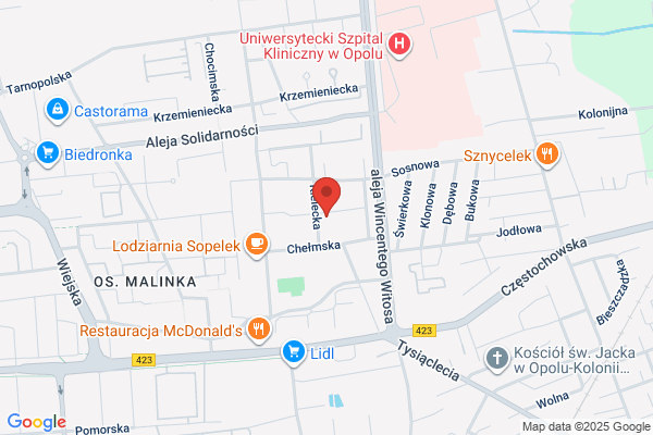 Lisik Anna. Gabinet kosmetyczny