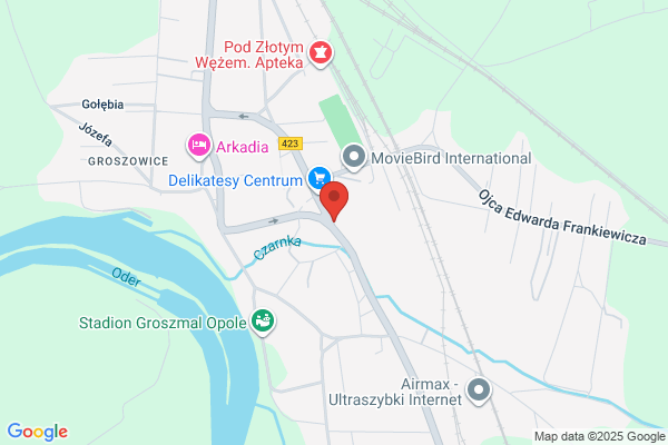 Oddzial Inzynierii Materialowej, Procesowej i Srodowiska w Opolu