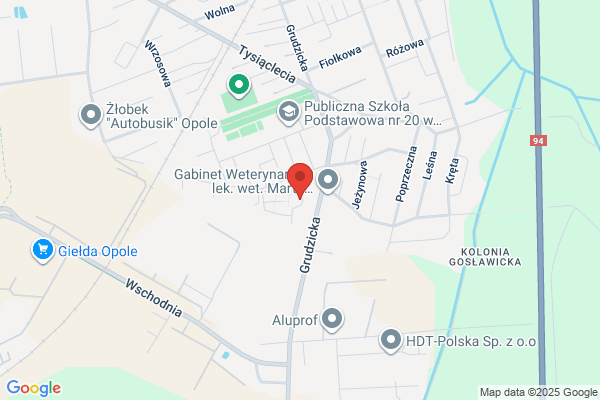 Zikogaz