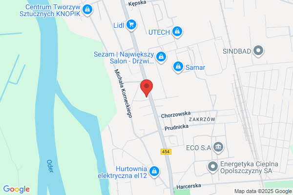 Dentiplant. Tanczak M.