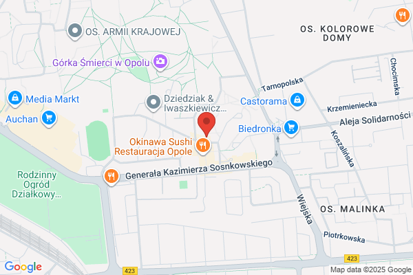 Debex. Firma. Biuro Rachunkowe. Danuta Kochman