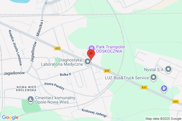 Auto-Remik. Naprawy samochodów