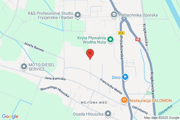 Lukoszek Henryk. Autoryzowana stacja obslugi Fiata, Alfa