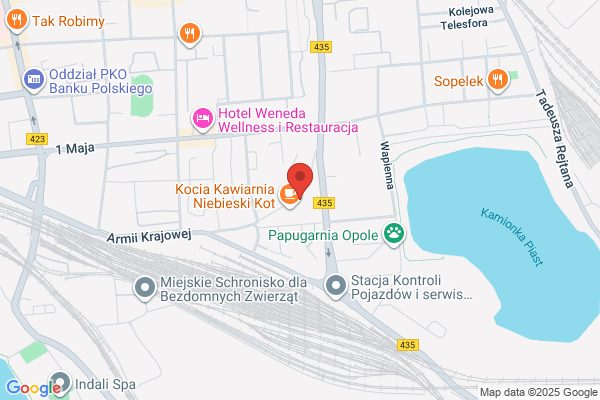 Brzozowscy. Tlumaczenia przysiegle, tlumaczenia zwykle
