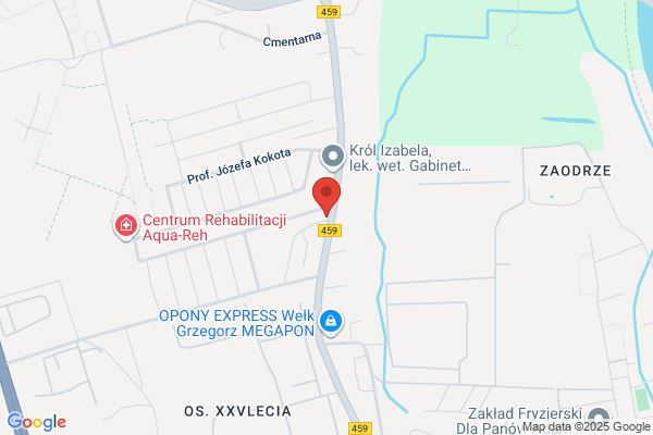 Delfen International. Spedycja miedzynarodowa