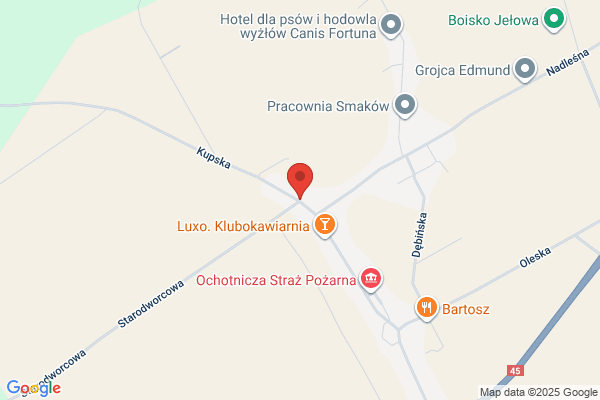Sygulka Arnold, Malgorzata. Uslugi transportowe miedzynarodowe