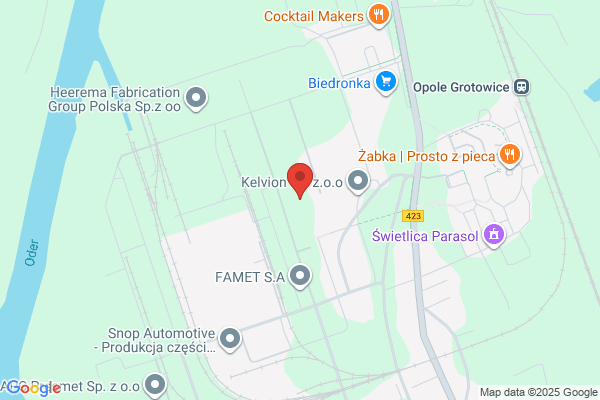 Stanred. Spedycja i transport miedzynarodowy. Redzinski S.