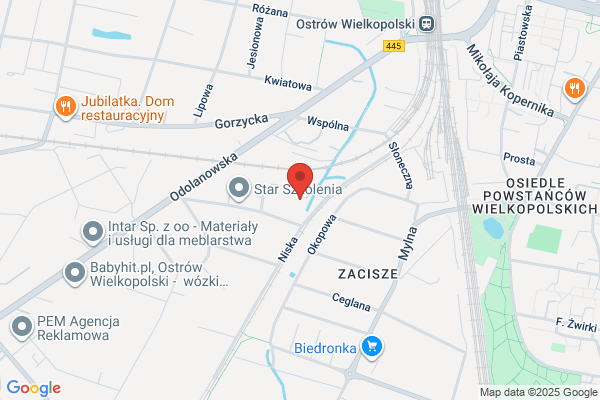 Vixon Plus. Sp.j. M.M. Milosz