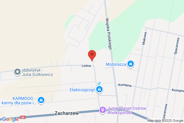 Trentkiewicz Henryk. Uslugi dzwigowo - transportowe