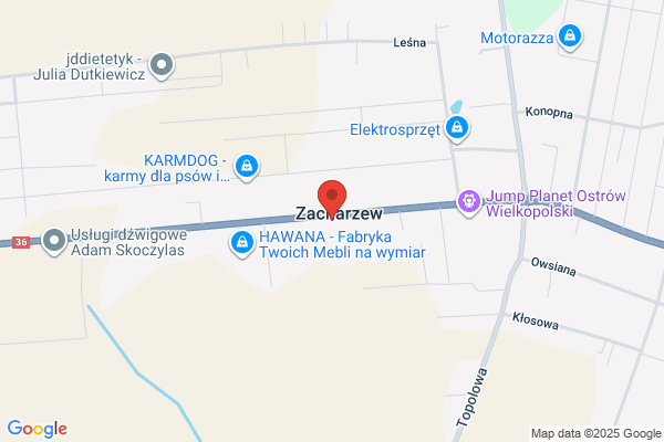Krzywda Lukasz. Geodezja